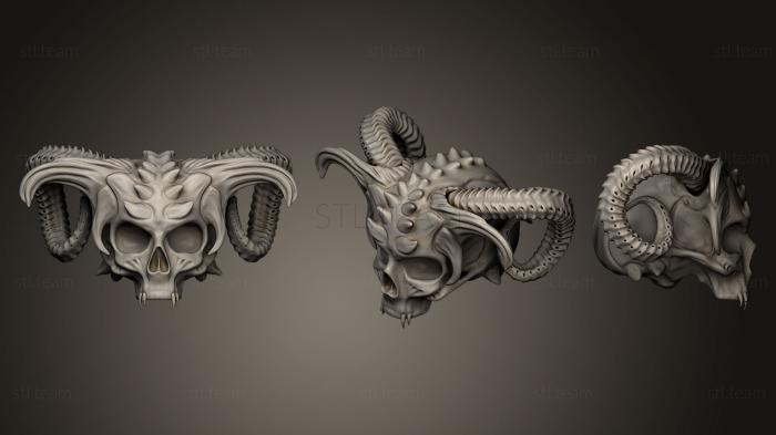 3D model Skull 3dprint (STL)